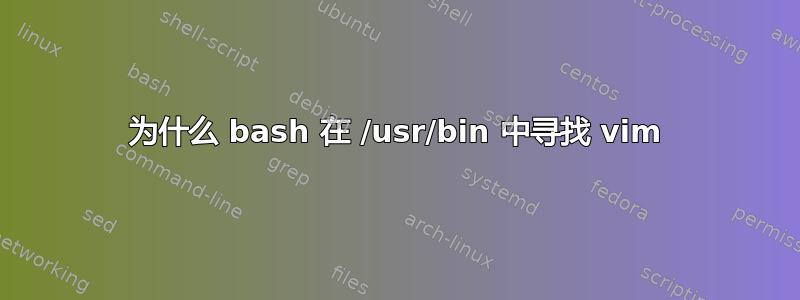 为什么 bash 在 /usr/bin 中寻找 vim