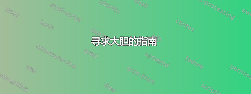 寻求大胆的指南