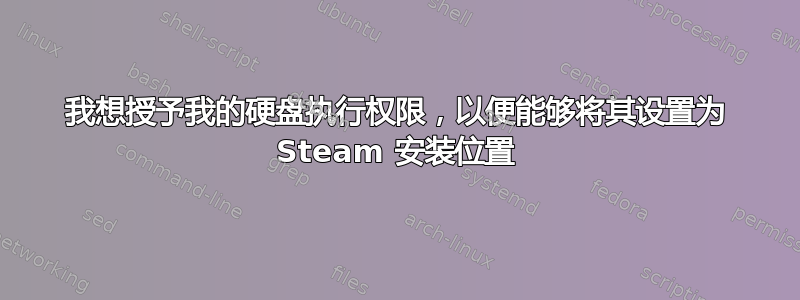 我想授予我的硬盘执行权限，以便能够将其设置为 Steam 安装位置