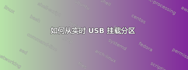 如何从实时 USB 挂载分区