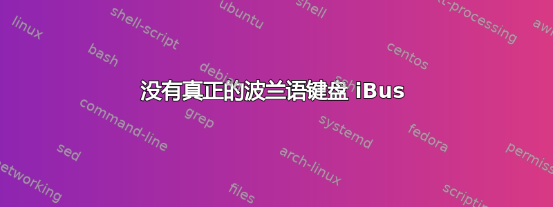 没有真正的波兰语键盘 iBus