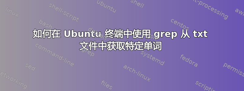 如何在 Ubuntu 终端中使用 grep 从 txt 文件中获取特定单词