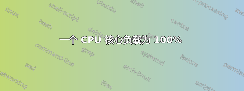 一个 CPU 核心负载为 100%