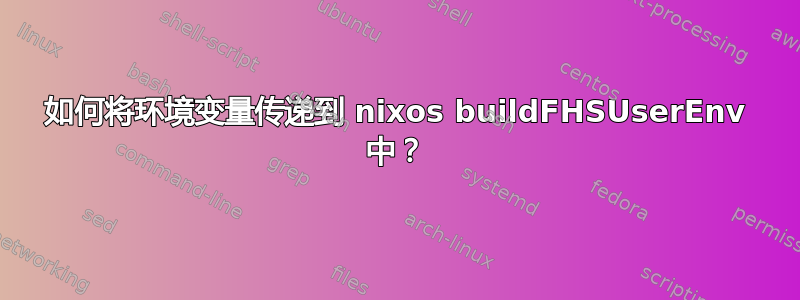 如何将环境变量传递到 nixos buildFHSUserEnv 中？