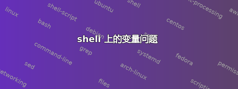 shell 上的变量问题