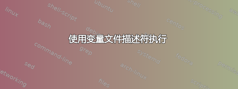 使用变量文件描述符执行