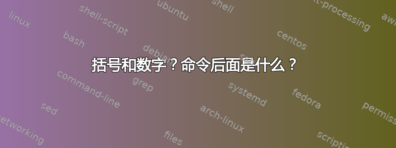 括号和数字？命令后面是什么？