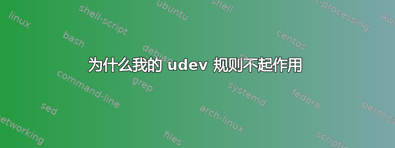 为什么我的 udev 规则不起作用