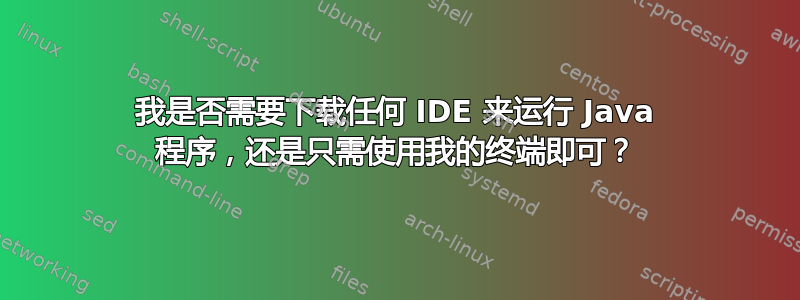 我是否需要下载任何 IDE 来运行 Java 程序，还是只需使用我的终端即可？