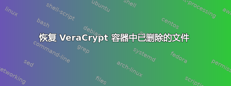 恢复 VeraCrypt 容器中已删除的文件