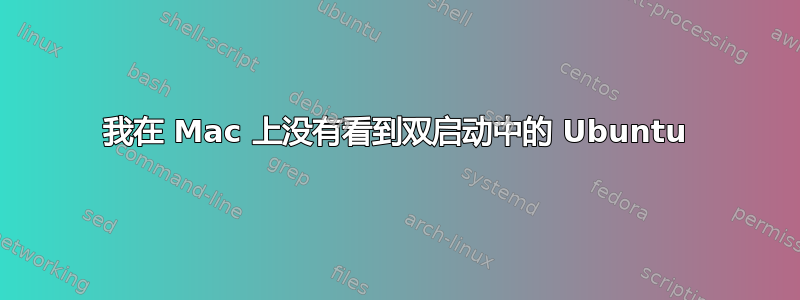 我在 Mac 上没有看到双启动中的 Ubuntu