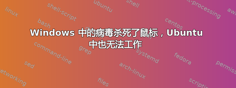 Windows 中的病毒杀死了鼠标，Ubuntu 中也无法工作 