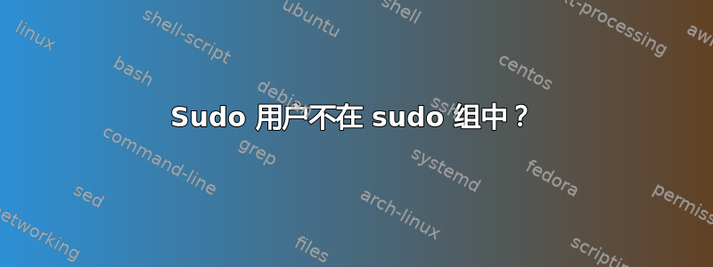 Sudo 用户不在 sudo 组中？