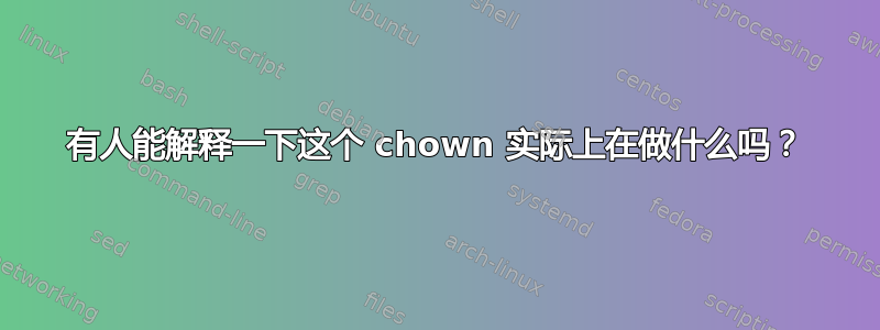 有人能解释一下这个 chown 实际上在做什么吗？