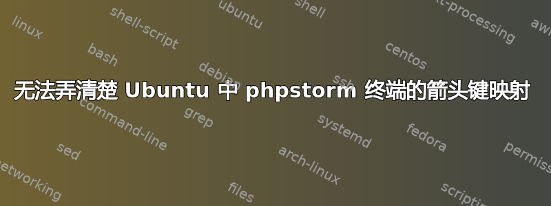 无法弄清楚 Ubuntu 中 phpstorm 终端的箭头键映射