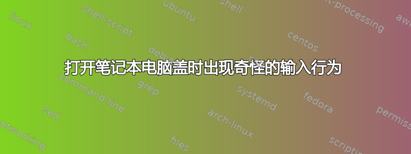 打开笔记本电脑盖时出现奇怪的输入行为