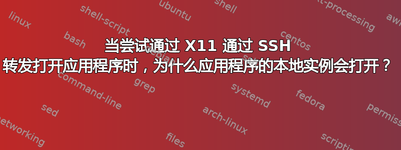 当尝试通过 X11 通过 SSH 转发打开应用程序时，为什么应用程序的本地实例会打开？ 