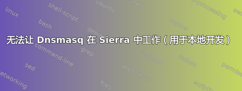 无法让 Dnsmasq 在 Sierra 中工作（用于本地开发）