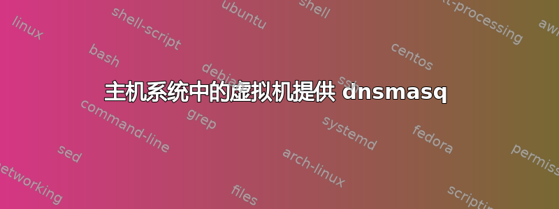 主机系统中的虚拟机提供 dnsmasq