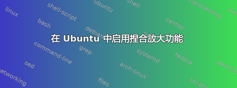 在 Ubuntu 中启用捏合放大功能