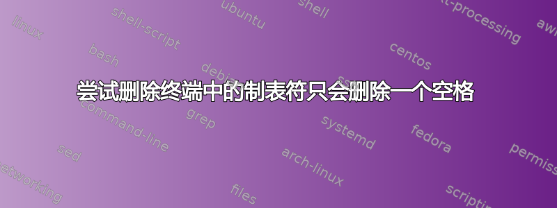 尝试删除终端中的制表符只会删除一个空格