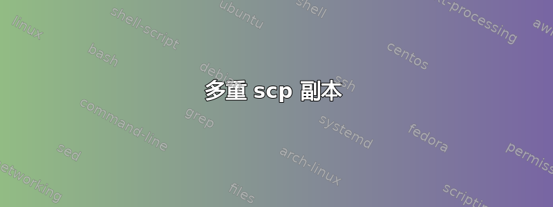 多重 scp 副本