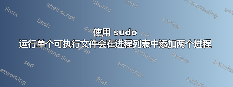 使用 sudo 运行单个可执行文件会在进程列表中添加两个进程