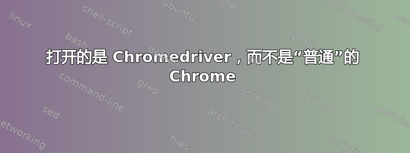 打开的是 Chromedriver，而不是“普通”的 Chrome