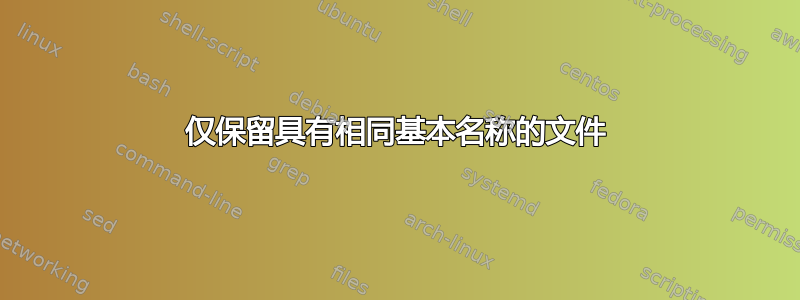 仅保留具有相同基本名称的文件