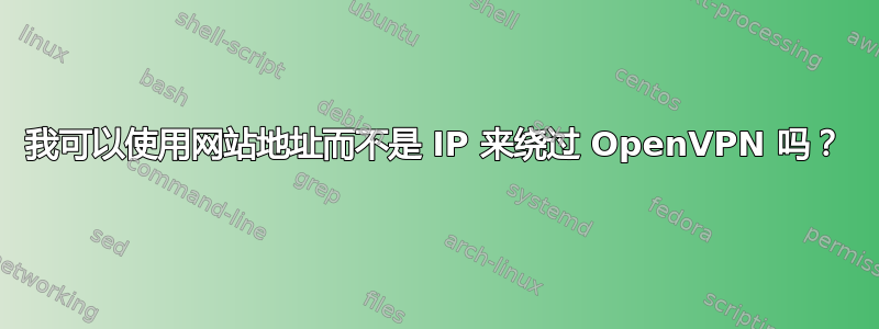 我可以使用网站地址而不是 IP 来绕过 OpenVPN 吗？