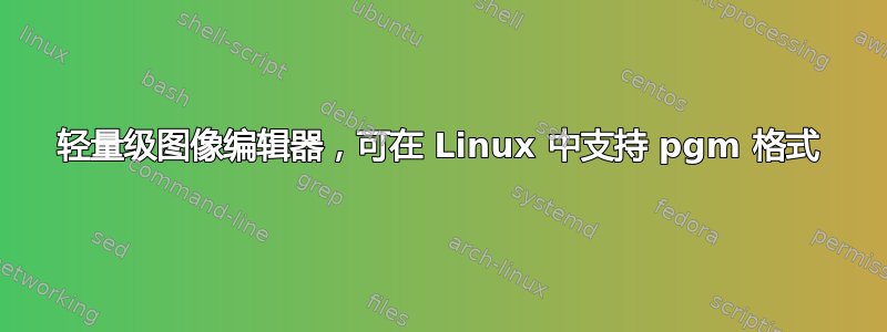 轻量级图像编辑器，可在 Linux 中支持 pgm 格式