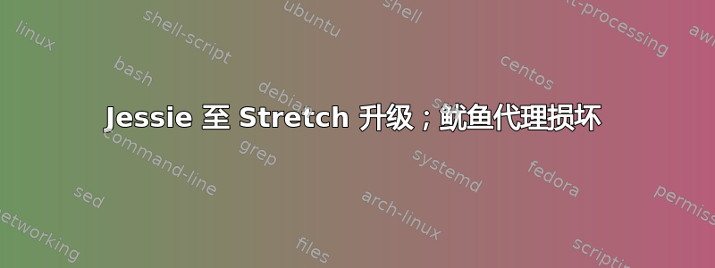 Jessie 至 Stretch 升级；鱿鱼代理损坏