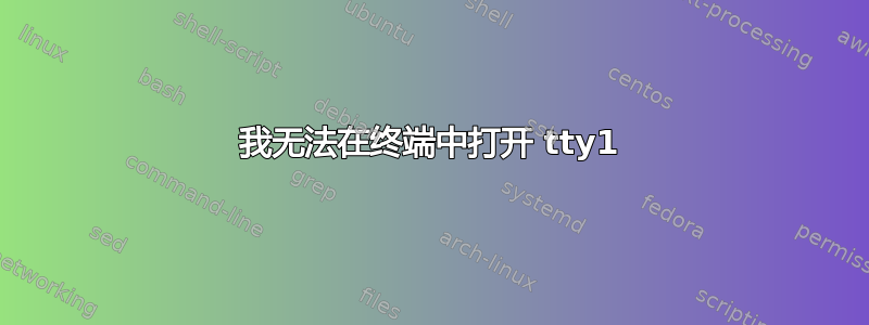 我无法在终端中打开 tty1