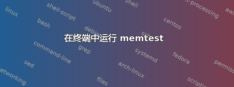 在终端中运行 memtest 