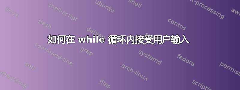 如何在 while 循环内接受用户输入