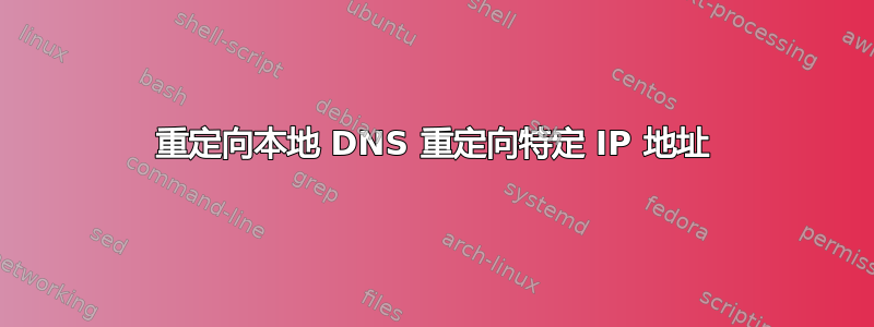 重定向本地 DNS 重定向特定 IP 地址