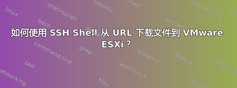 如何使用 SSH Shell 从 URL 下载文件到 VMware ESXi？