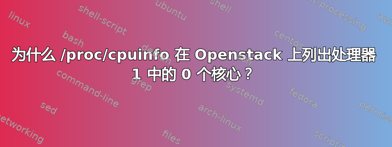 为什么 /proc/cpuinfo 在 Openstack 上列出处理器 1 中的 0 个核心？