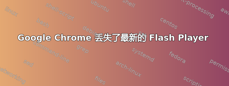 Google Chrome 丢失了最新的 Flash Player