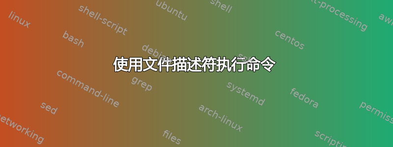 使用文件描述符执行命令