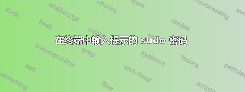 在终端中输入提示的 sudo 密码