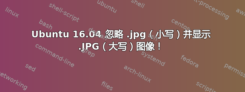 Ubuntu 16.04 忽略 .jpg（小写）并显示 .JPG（大写）图像！