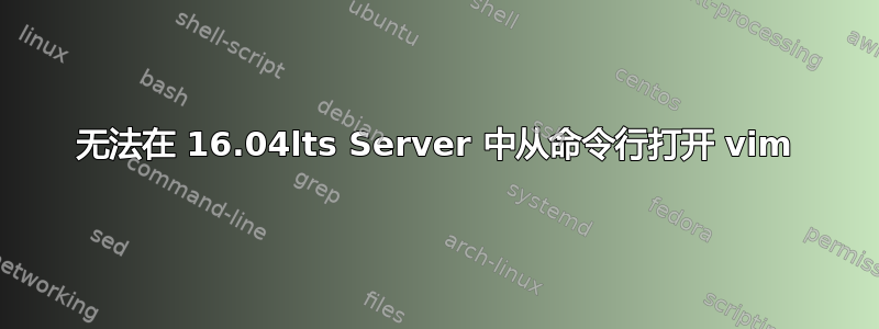 无法在 16.04lts Server 中从命令行打开 vim