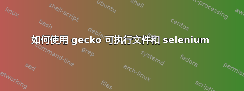 如何使用 gecko 可执行文件和 selenium