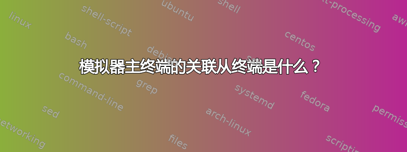 模拟器主终端的关联从终端是什么？