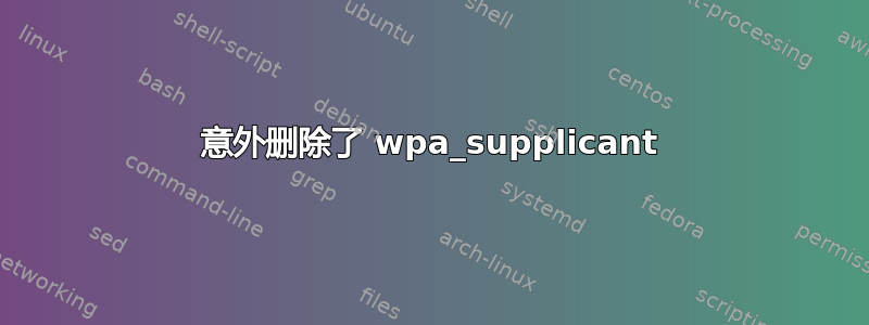 意外删除了 wpa_supplicant