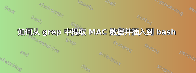 如何从 grep 中提取 MAC 数据并插入到 bash