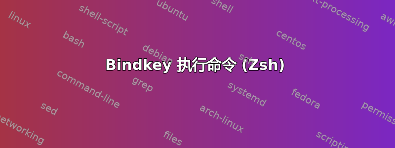 Bindkey 执行命令 (Zsh)