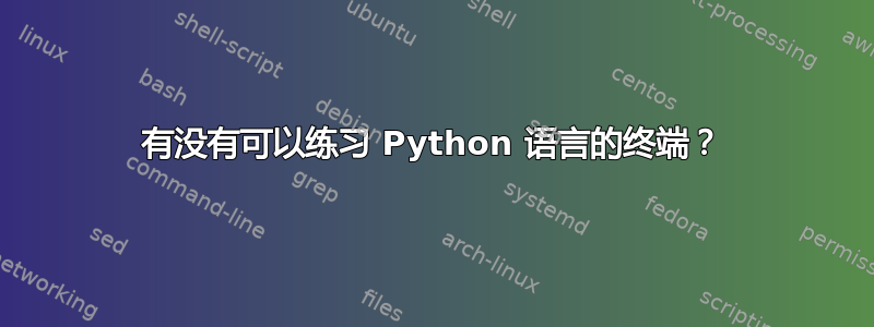 有没有可以练习 Python 语言的终端？