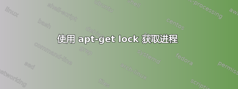 使用 apt-get lock 获取进程